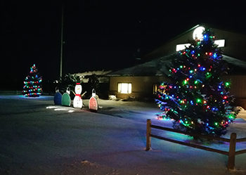 Christmas lights at Redfield office